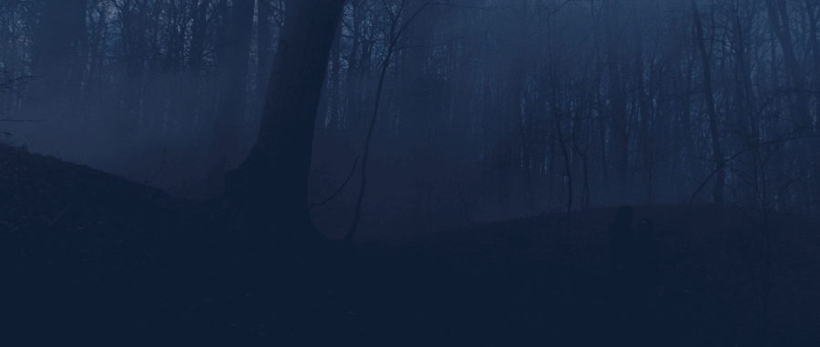 Fallen_2016_2836529.JPG