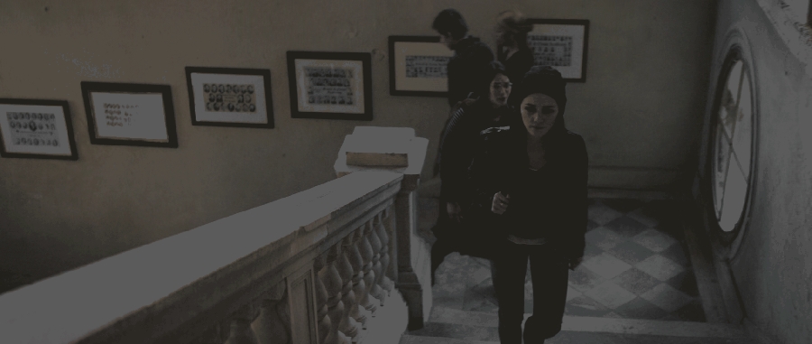 Fallen_2016_2850429.JPG
