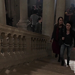Fallen_2016_2848329.JPG