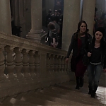 Fallen_2016_2848429.JPG