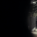 American_Woman_2019_2838529.JPG